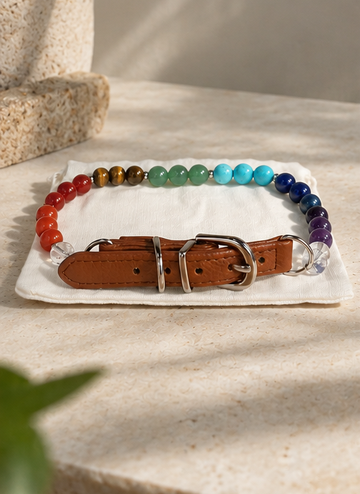 Collar De Mascotas 7 Chakras