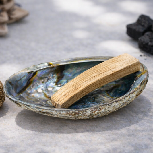 Sahumador de Concha de Abulón