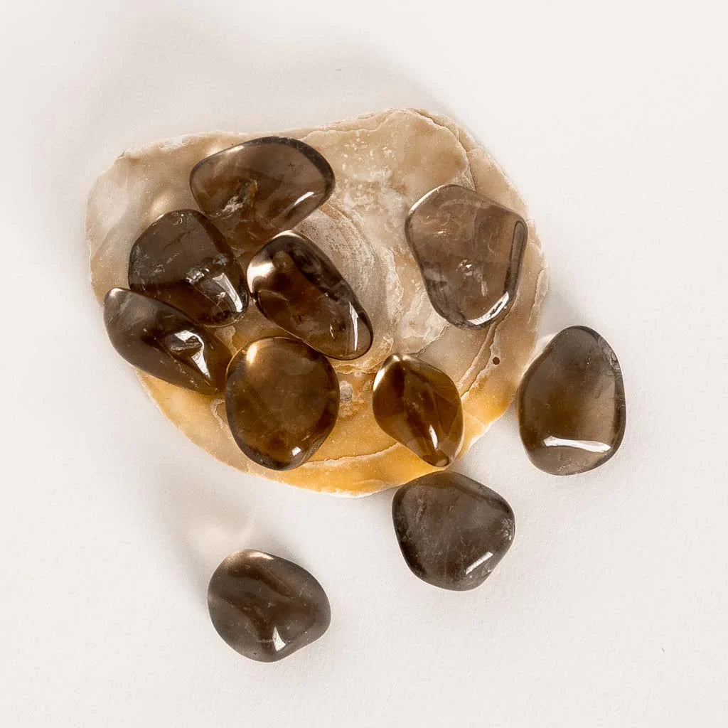 Cuarzo Ahumado – Enraizamiento