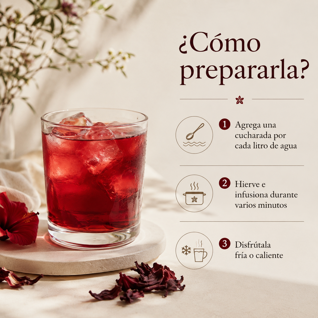 Infusión de Flor de Jamaica