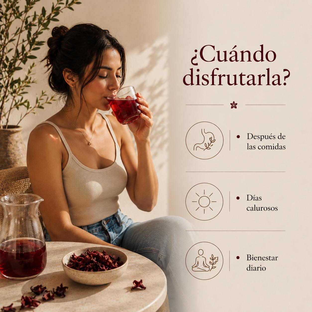 Infusión de Flor de Jamaica